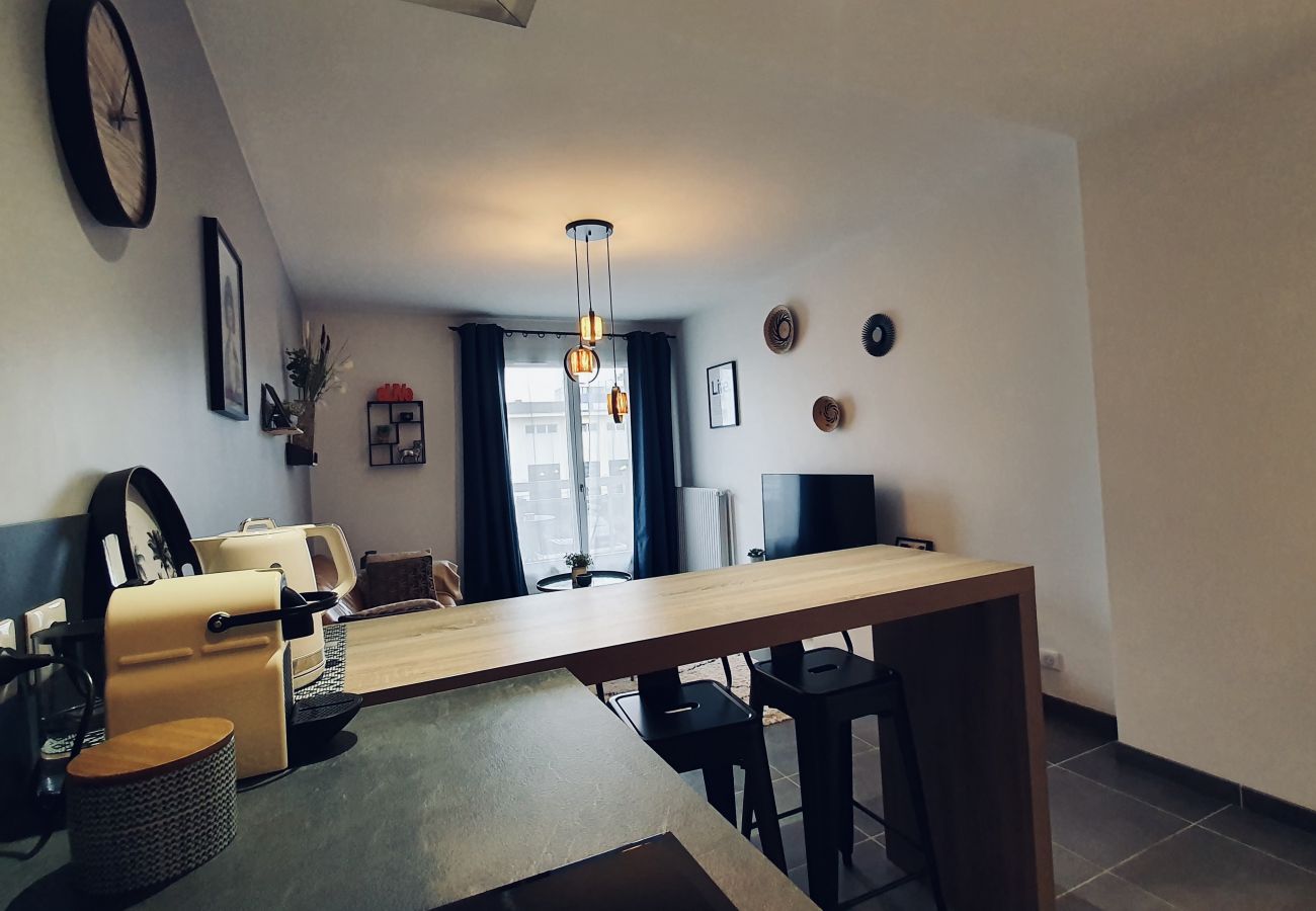 Apartment in Annecy - Le Continental Beau T2 plein centre + parking