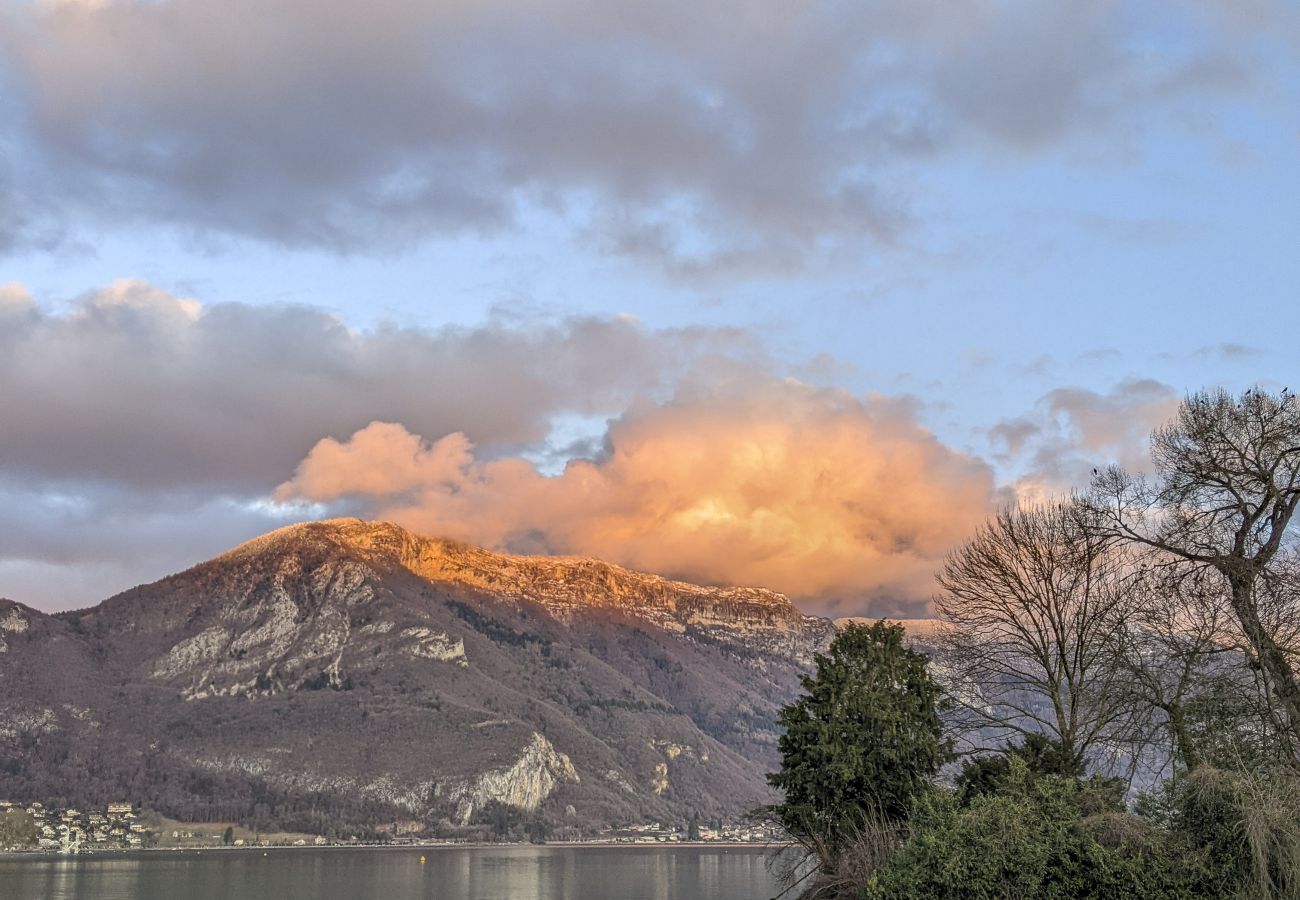 Apartment in Annecy - le fier pied a terre a annecy