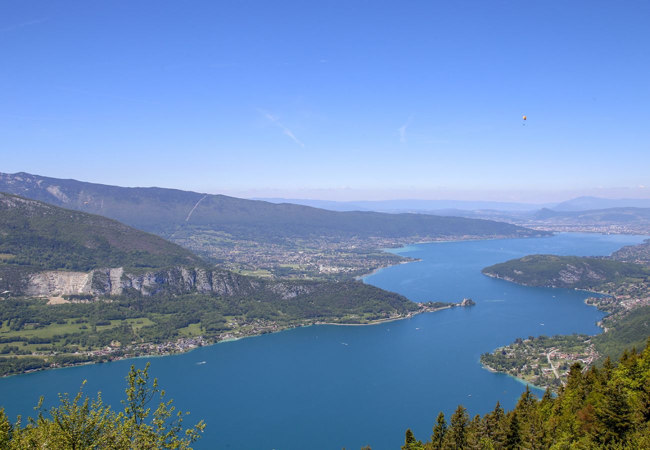 Apartment in Annecy - le fier pied a terre a annecy