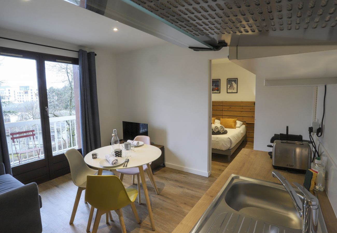 Apartment in Annecy - le fier pied a terre a annecy