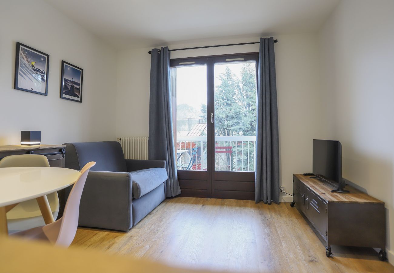 Apartment in Annecy - le fier pied a terre a annecy