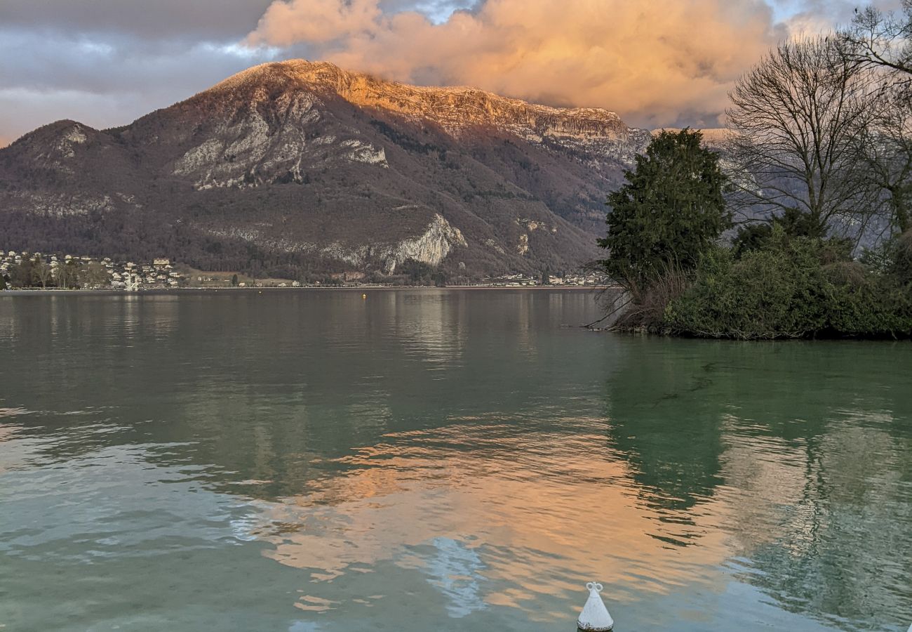 Apartment in Annecy - le fier pied a terre a annecy