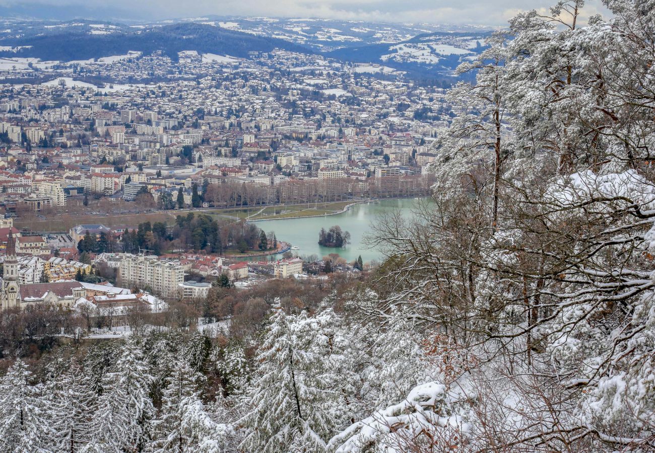 Apartment in Annecy - le fier pied a terre a annecy