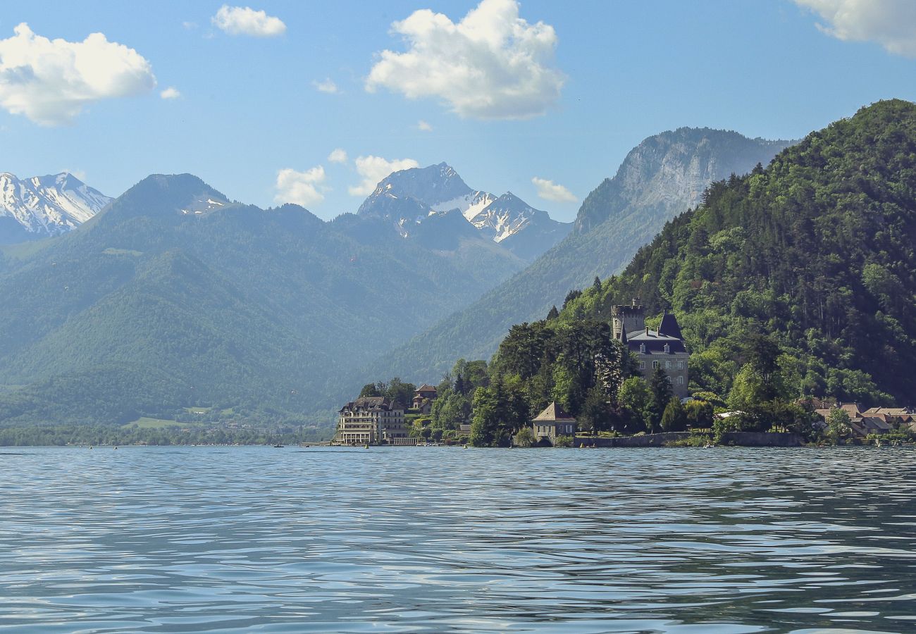 Apartment in Annecy - le fier pied a terre a annecy