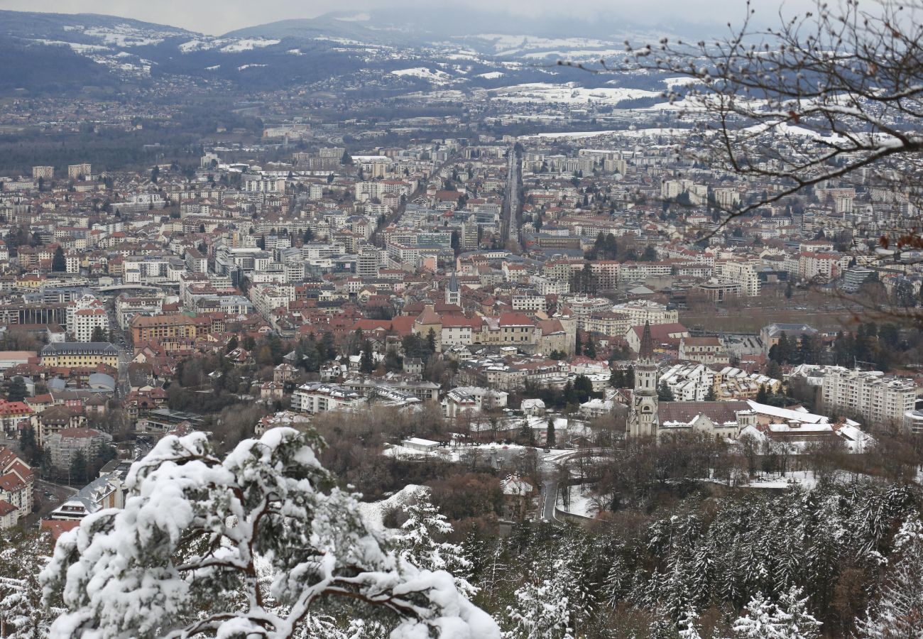 Apartment in Annecy - le fier pied a terre a annecy