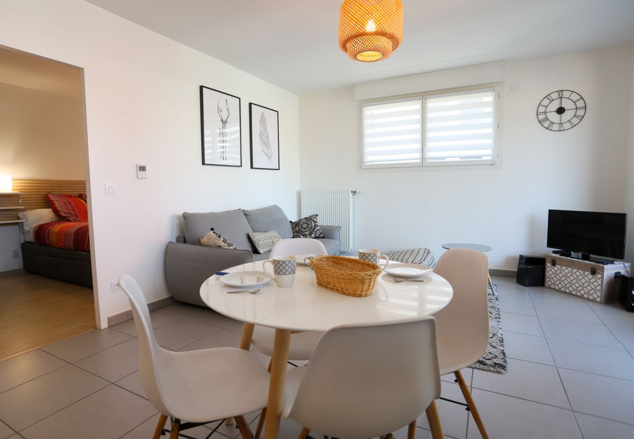 Apartment in Annecy - Sainté, 3* terrasse proche du centre-ville, calme