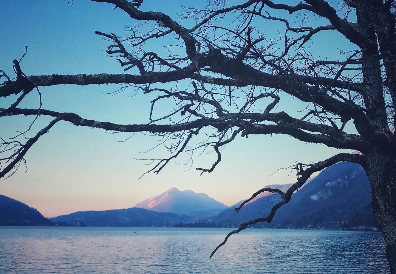 Apartment in Doussard - Reflet Bleu du Lac d'Annecy