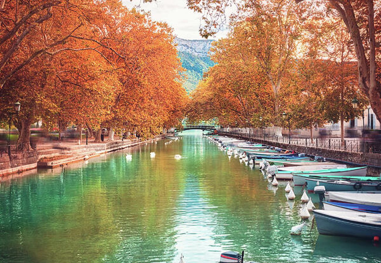 Apartment in Annecy - Le Bleu Du Lac 3* - Proche lac & vieille ville