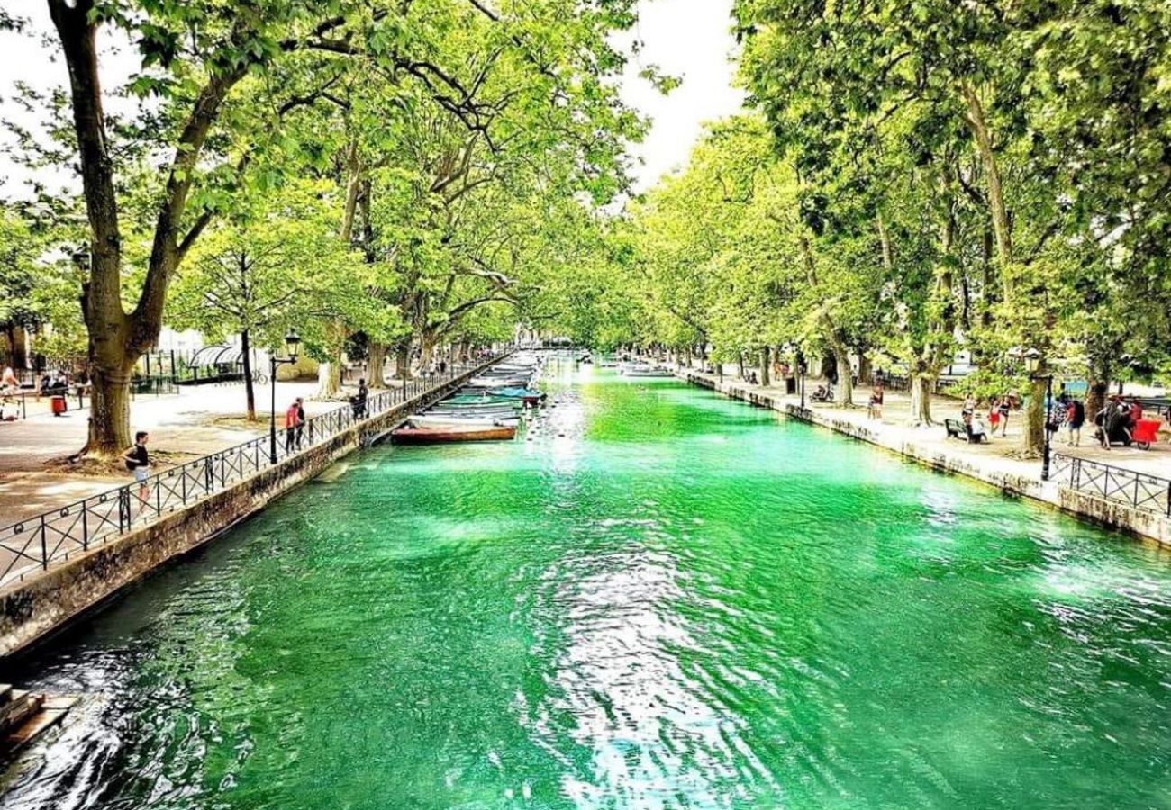 Apartment in Annecy - Le Gouverneur, 100m du lac avec parking