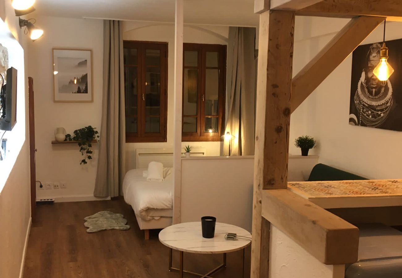 Studio in Annecy - Manaslu plein centre charmant et chaleureux