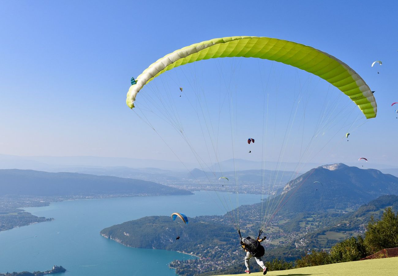 Appartement à Annecy - La Plume appartement avec parking et vue lac