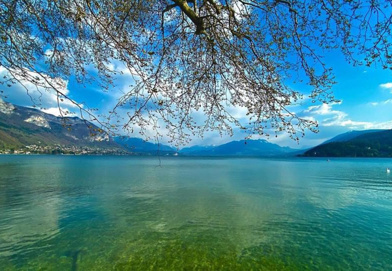 Appartement à Annecy - Alp'Art